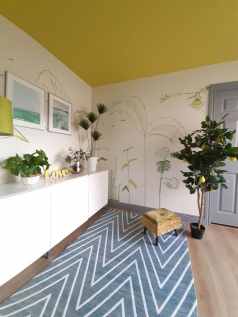 Colour-Scheme-3-Room-set-creative-collaboration-design