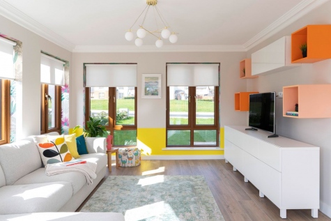 Playroom-and-Family-room-contemporary-design-by-AlenaCDesign