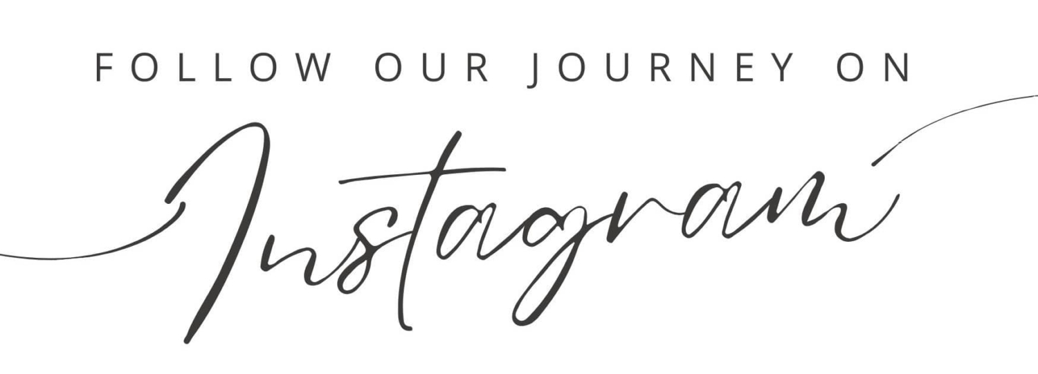 AlenaCDesign Instagram Journey